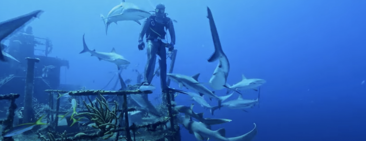OCEAN FILM TOUR