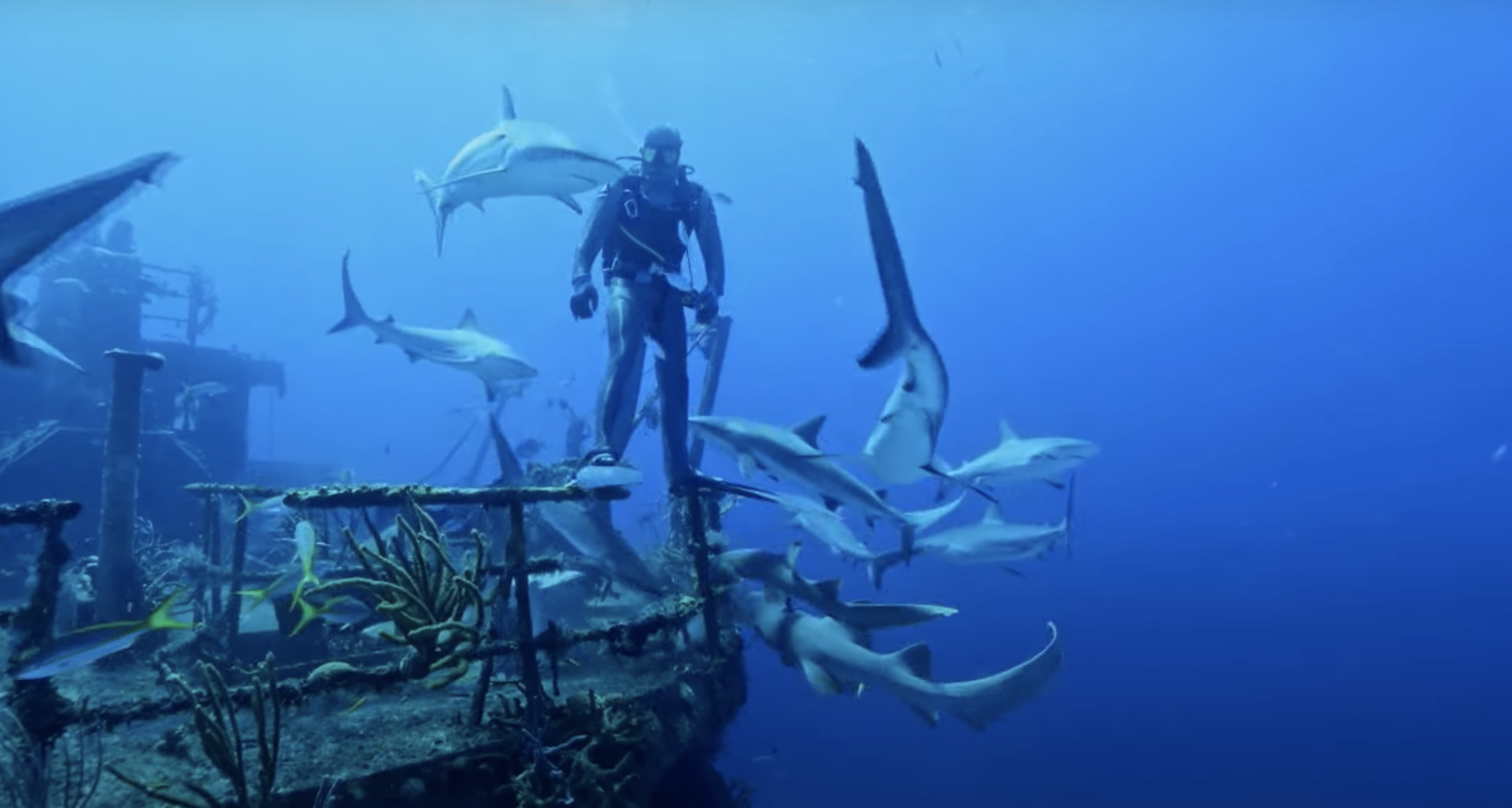 OCEAN FILM TOUR